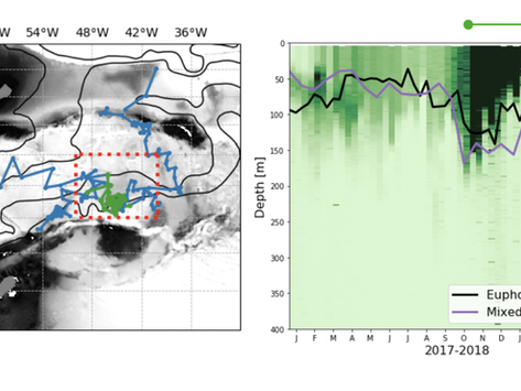 Physical Drivers of Phytoplankton Bloom Initiation in the Southern Ocean's Scotia Sea