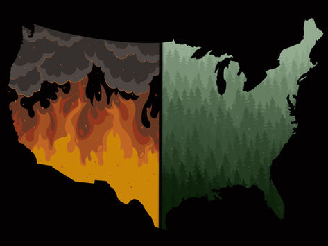 Why the U.S. Should Turn to Natives for Fire-Management