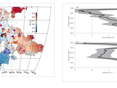 Deep Argo Quantifies Bottom Water Warming Rates in the Southwest Pacific Basin