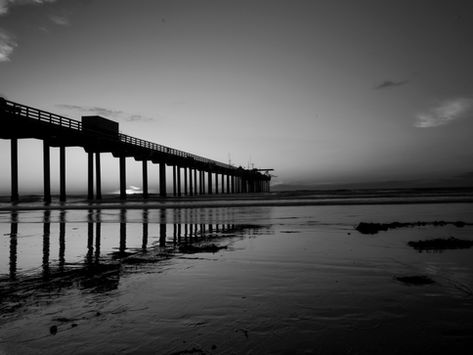 Until the Fog Lifts: The Uneasy History of Former Scripps' Director, William Nierenberg