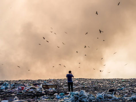 Ecofascism: Are We the Virus?